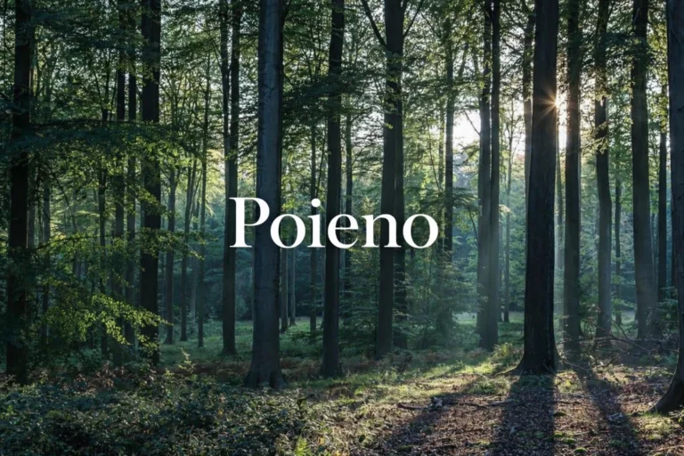 What Is Poieno? Meaning, Origin, and Why It Is Gaining Attention Online