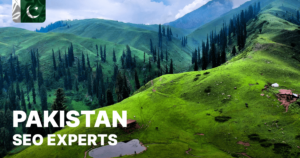 top-10-seo-expert-in-pakistan